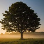 Hitech: Plantar árvores a distância de um clique