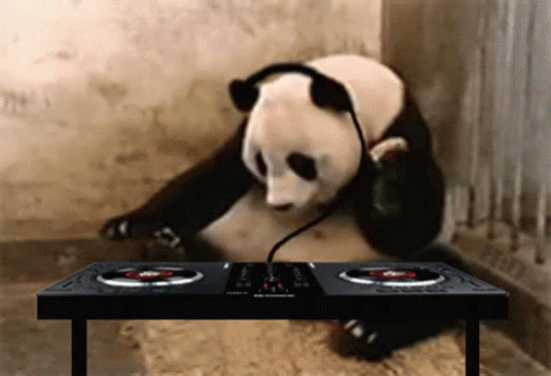 DJ Panda na Pick up
